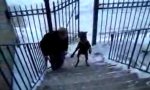 Movie : Hund macht Wheelie auf der Treppe